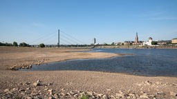 Das Wasser am Rheinufer hat sich soweit zurückgezogen, dass sich lange Uferbänke mit rissiger Erde gebildet haben.