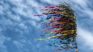 Ein Maibaum mit bunten Bändern weht im Wind vor blauem Himmel.