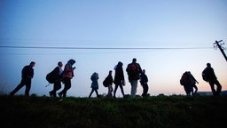 Eine Gruppe Flüchtlinge läuft zu Fuß durch die ungarische Landschaft (Archivbild, 2016)