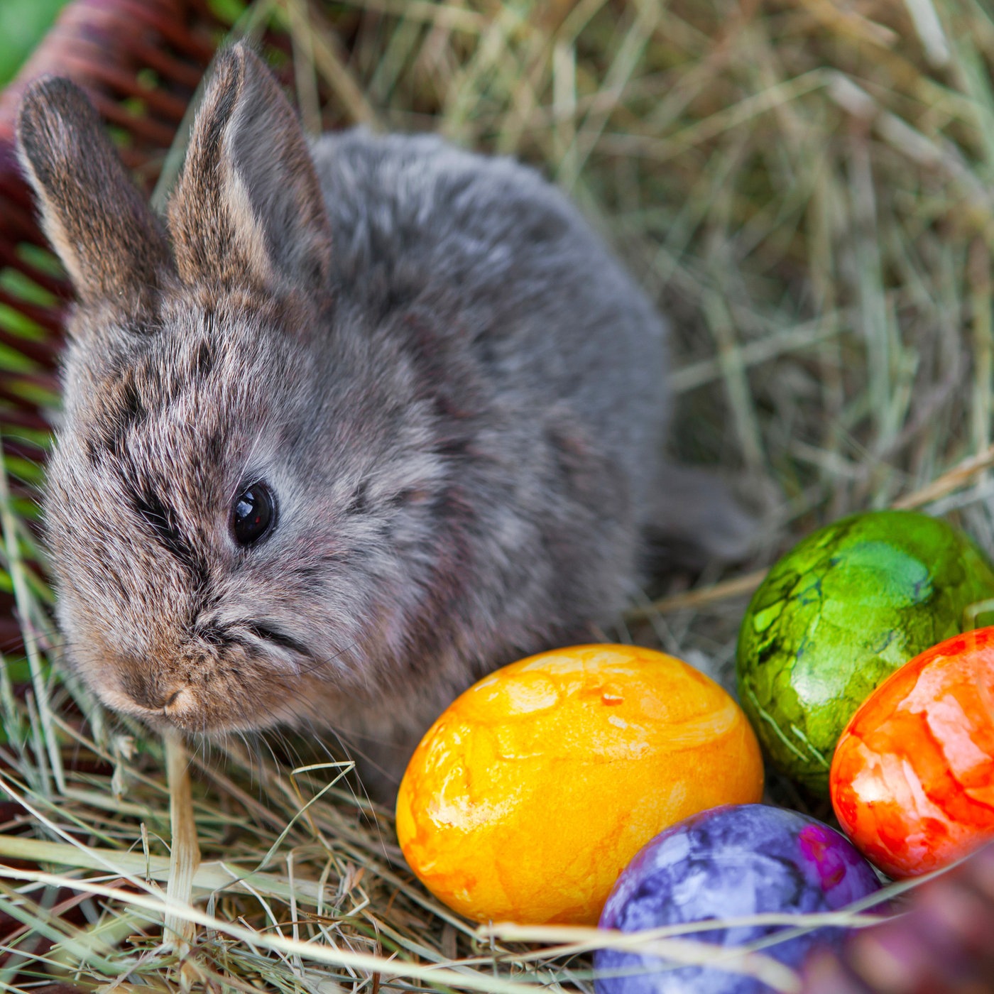 Ostern – brauchen wir noch christliche Feiertage?