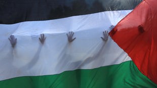 Die Schatten mehrerer Hände schimmern durch die Flagge Palästinas.