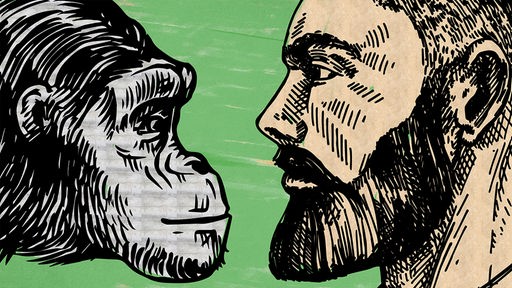 Die Grafik für WDR 5 Tiefenblick "Das Tier und Wir" zeigt links das Gesicht eines Affen und rechts das eines Menschen, beide gucken sich an.
