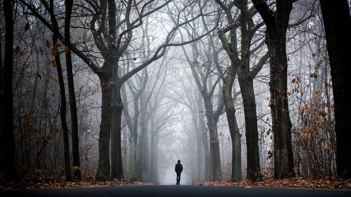 Das WDR5 Tiefenblick Beitragsbild "Sterben, Tod und Trauer" zeigt einen Mann an einem nebeligen Wintermorgen durch eine Baumallee gehend.