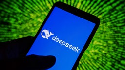 Deepseek-100~_v-ARDAustauschformat.jpg