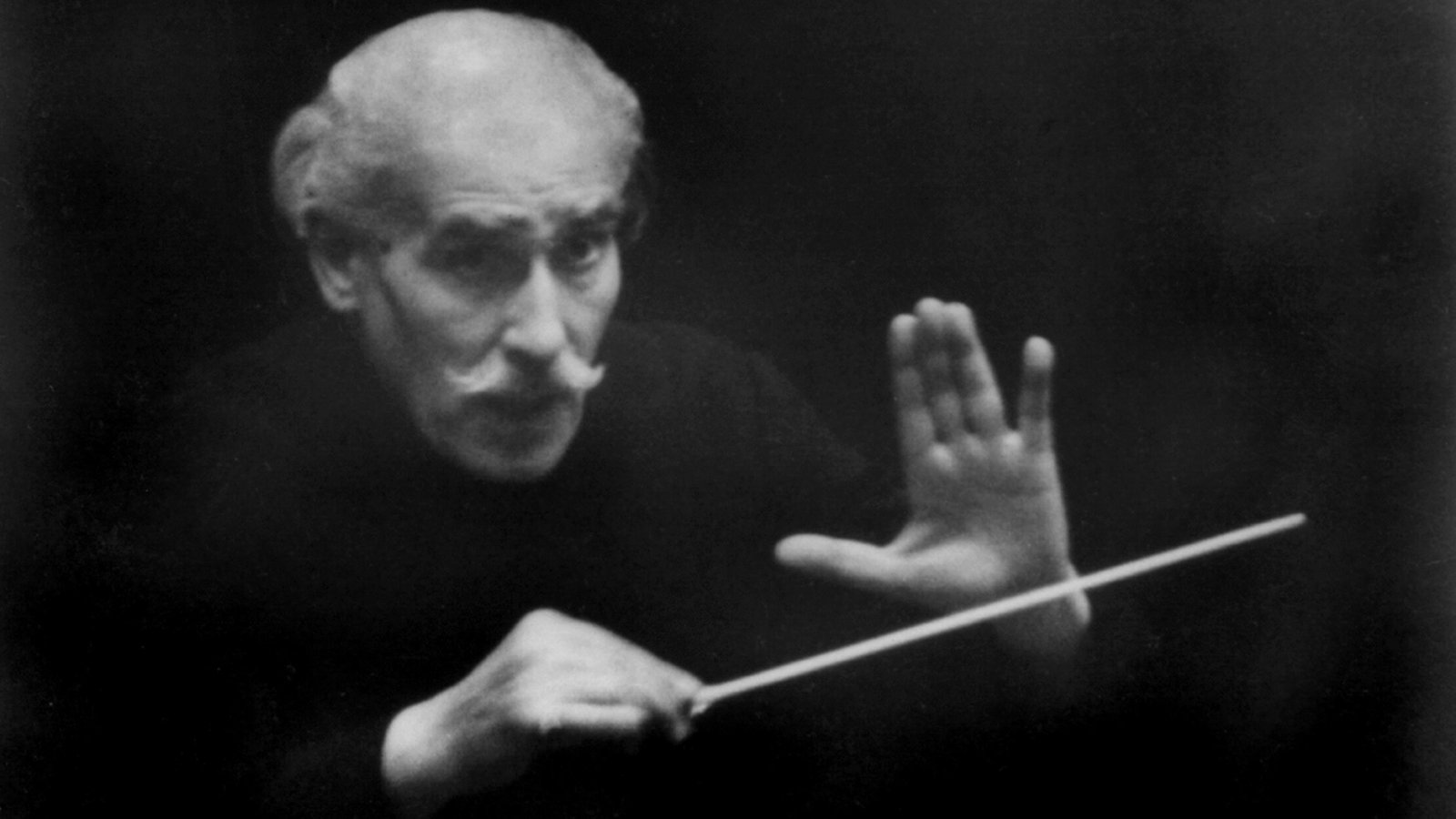 Toscanini вешалки