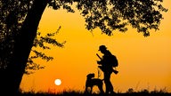 Jäger mit Hund im Sonnenuntergang