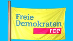 Die Fahne der Partei FDP 