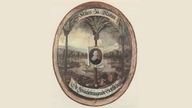 Emblem der Fruchtbringenden Gelsellschaft (Palmenhain mit einem Porträt Fürst Ludwigs von Anhalt-Köthen)