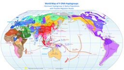 Weltkarte von Y-DNA-Haplogruppen
