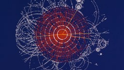 Higgs-Teilchen, Zerfall eines fiktiven Higgs-Bosons