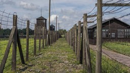 Konzentrationslager Majdanek, 2016