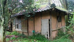 Die Hütte von Masanobu Fukuoka