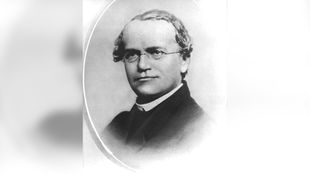 Gregor Johann Mendel, Naturforscher und "Vater der Genetik"