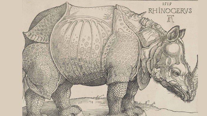 Holzschnitt von Albrecht Dürer