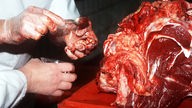 Veterinäre untersuchen die Hirnprobe ein frisch geschlachteten Rinds