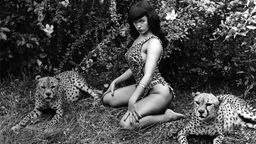 Bettie Page, Pin-up-Modell