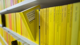 Bücher der Universal-Bibliothek von Reclam stehen am 03.02.2017 in Ditzingen (Baden-Württemberg) in einem Regal am Hauptsitz des Verlages