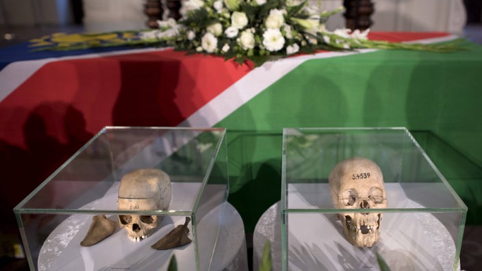 Schädel in Vitrinen anlaäslich der Rückgabe von Totenschädel und Gebeinen (in diesem Fall von Herero und Nama)
