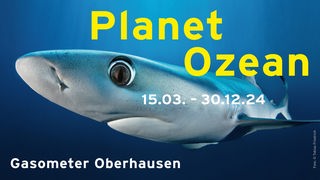 Logo Gasometer-Ausstellung Planet Ozean