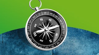 Symbolbild Westblick: Kompass zeigt nach Westen
