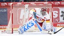 Henrik Haukeland, Keeper der Düsseldorfer EG