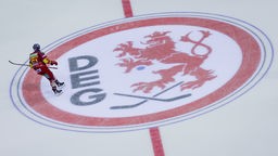 Düsseldorfer EG Wappen auf dem Eis