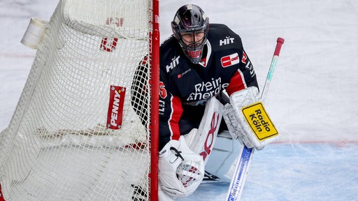 Julius Hudacek ist zurück im Tor der Kölner Haie.