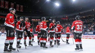 Die Eishockey-Spieler der Kölner Haie stehen auf dem Eis der Lanxess Arena