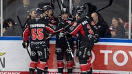 Die Kölner Haie feiern einen Treffer gegen die Eisbären Berlin