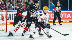 Kölner Haie gegen Pinguins Bremerhaven