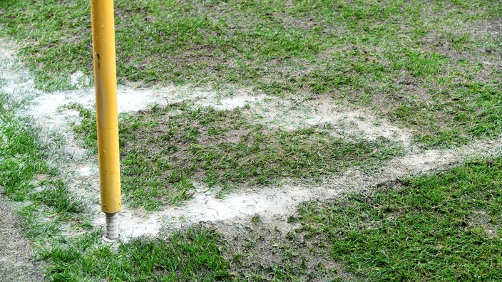 Ein nasser Fußballplatz (Symbolbild) 