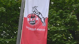 Fahne 1.FC Köln
