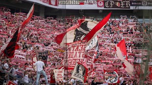 Fans des 1. FC Köln beim Auswärtsspiel in Leverkusen.