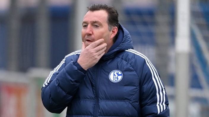 Hat viel zu tun auf Schalke: Sportdirektor Marc Wilmots