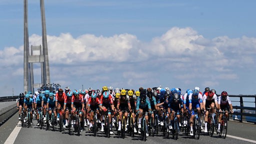 Das Peloton rollt bei der Tour de France über die Great Belt Bridge in Dänemark.