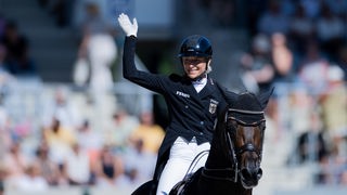 Ingrid Klimke auf dem Pferd "Franziskus" grüßt Richtung Jury. 