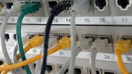 Netzwerkkabel stecken in einem Verteiler für Internetverbindungen.