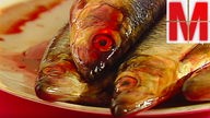 "Monitor" berichtet über Würmer im Fisch, Logo "Monitor