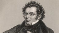 Porträt Franz Schubert, Stahlstich