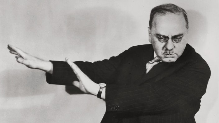 Alfred Adler, Psychotherapeut