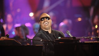 Stevie Wonder, US-Musiker (Aufnahme von 2010)