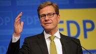 Guido Westerwelle, FDP-Politiker (Aufnahme von 2013)