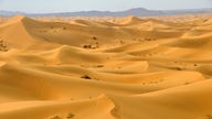 Sanddünen der West-Sahara bei Marokko