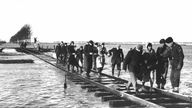 Bewohner des niederländischen Überschwemmungsgebietes in Zeeland bringen sich am 2.2.1953 über einen Schienenstrang in Sicherheit