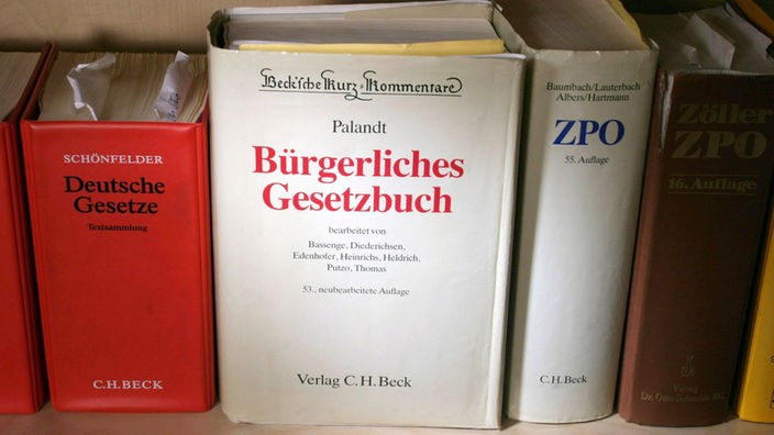 Palandt-Kommentar zum BGB steht neben Textsammlung Deutsche Gesetze und Kommentar zur ZPO im Regal 