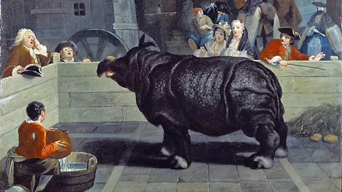 Unbekannter Maler: Rhinozeros Clara in Venedig (1751)