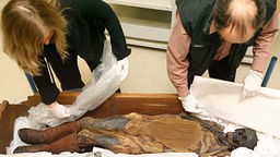 Moorleiche wird von Museumsmitarbeitern in Bläschenfolie gebettet