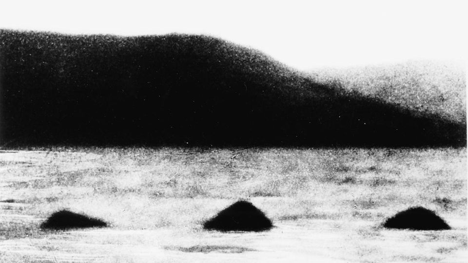 Loch Ness (Nordschottland) See im Glen-More-Tal.-Das Ungeheuer von Loch Ness.-(Angebliches Meeresungeheuer, erstmals bekannt geworden 1933/34). Foto.
