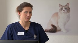 Das Bild zeigt eine Tierärztin im Interview. Hinter ihr ist ein Bild von einer Katze zu sehen. 