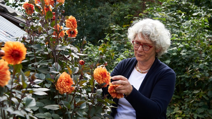 Garten Lecker Finale Im Staudenparadies Bergisches Land